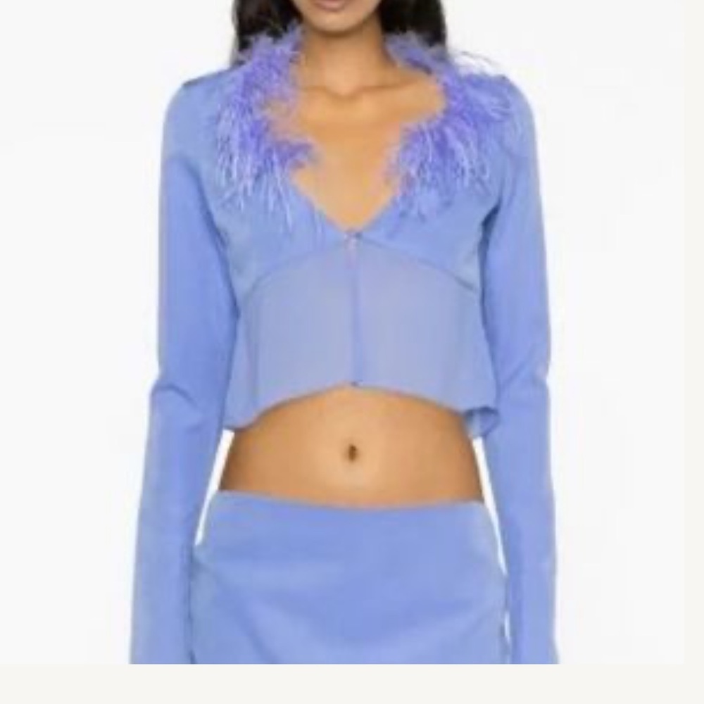 Danielle Guizio feather top